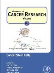 Cancer Stem Cells: Volume 141