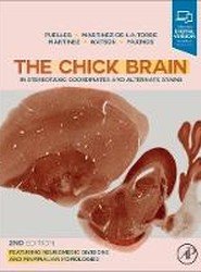 The Chick Brain in Stereotaxic Coordinates and Alternate Stains