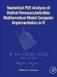 Numerical PDE Analysis of Retinal Neovascularization