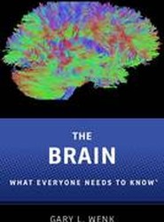The Brain