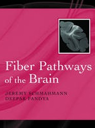 Fiber Pathways of the Brain