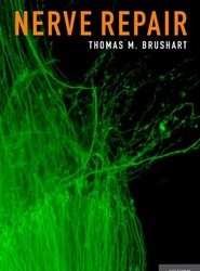 Nerve Repair