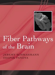 Fiber Pathways of the Brain