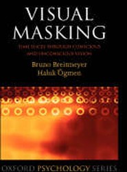 Visual Masking