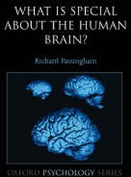 What is special about the human brain?