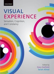 Visual Experience