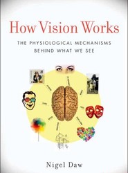 How Vision Works