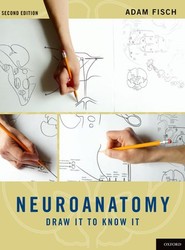 Neuroanatomy