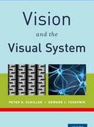 Vision and the Visual System