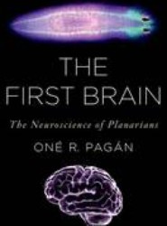 The First Brain