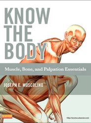 Know the Body: Muscle, Bone, and Palpation Essentials
