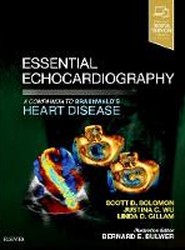 Essential Echocardiography