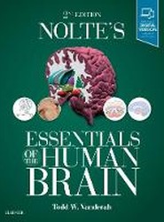 Nolte's Essentials of the Human Brain