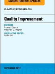 Quality Improvement, An Issue of Clinics in Perinatology: Volume 44-3