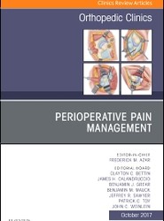 Perioperative Pain Management, An Issue of Orthopedic Clinics: Volume 48-4