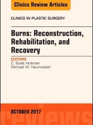 Burn Care: Reconstruction, Rehabilitation, and Recovery, An Issue of Clinics in Plastic Surgery: Volume 44-4