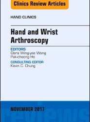 Hand and Wrist Arthroscopy, An Issue of Hand Clinics: Volume 33-4