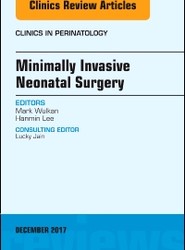 Minimally Invasive Neonatal Surgery, An Issue of Clinics in Perinatology: Volume 44-4