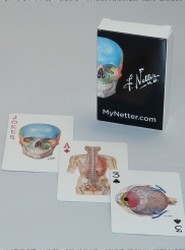 Netter Playing Cards