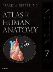 Atlas of Human Anatomy, Professional Edition
