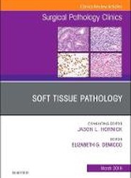 Soft Tissue Pathology, An Issue of Surgical Pathology Clinics: Volume 12-1