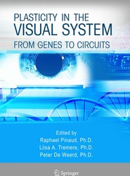 Plasticity in the Visual System