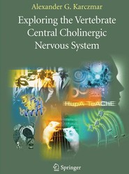 Exploring the Vertebrate Central Cholinergic Nervous System