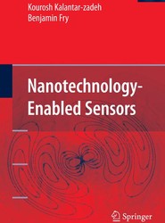 Nanotechnology-Enabled Sensors
