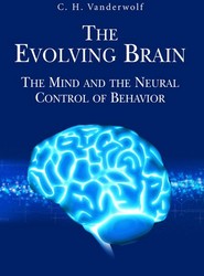 The Evolving Brain