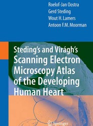 Steding's and Viragh's Scanning Electron Microscopy Atlas of the Developing Human Heart