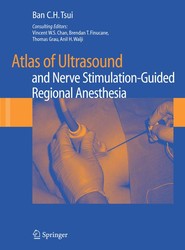 Atlas of Ultrasound- and Nerve Stimulation-Guided Regional Anesthesia