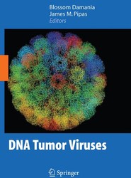 DNA Tumor Viruses