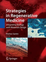 Strategies in Regenerative Medicine