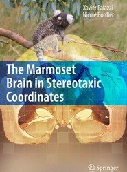 The Marmoset Brain in Stereotaxic Coordinates