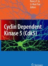 Cyclin Dependent Kinase 5 (Cdk5)