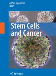 Stem Cells and Cancer