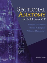 Sectional Anatomy by MRI and CT With Website