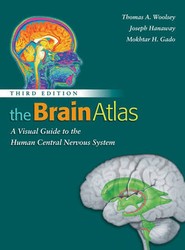 The Brain Atlas