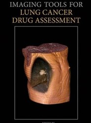 Quantitative Imaging Tools for Lung Cancer Drug Assessment