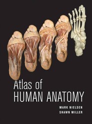 Atlas of Human Anatomy 1e (WSE)