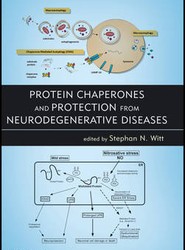 Protein Chaperones and Protection from Neurodegenerative Diseases