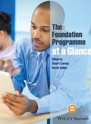 The Foundation Programme at a Glance
