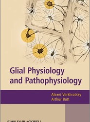Glial Physiology and Pathophysiology