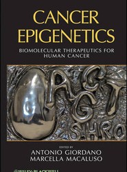 Cancer Epigenetics - Biomolecular Therapeutics in Human Cancer