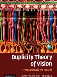 Duplicity Theory of Vision