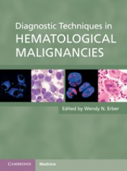 Diagnostic Techniques in Hematological Malignancies