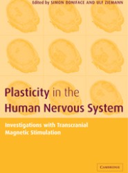 Plasticity in the Human Nervous System
