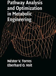 Pathway Analysis and Optimization in Metabolic Engineering