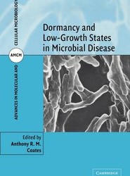 Dormancy and Low Growth States in Microbial Disease