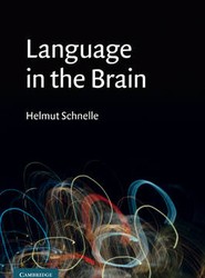 Language in the Brain